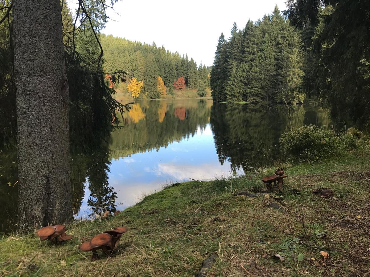 Apartament Henne Hahnenklee Goslar Zewnętrze zdjęcie